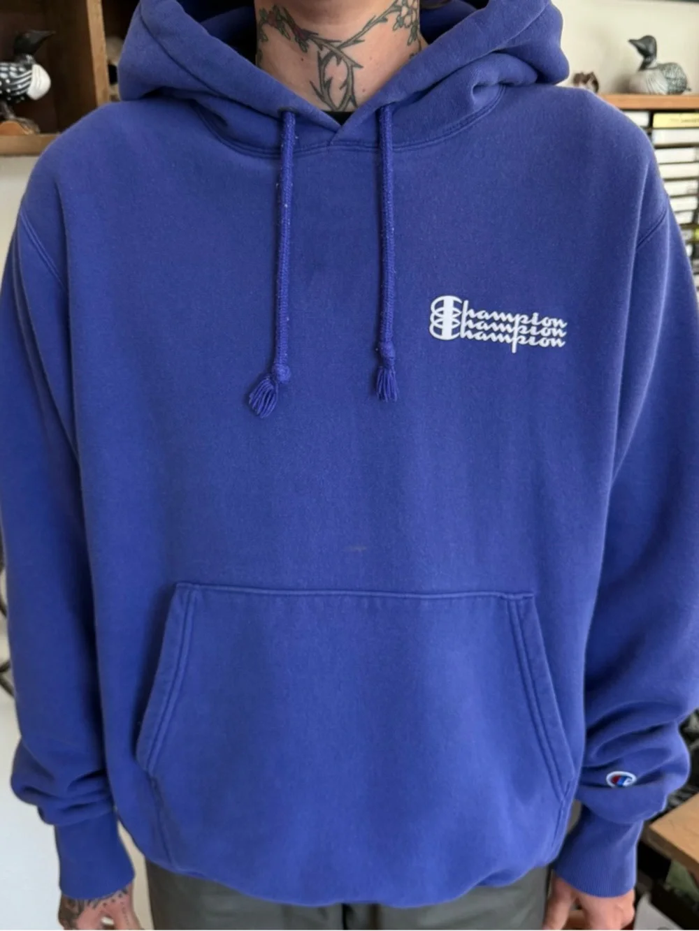 Vintage 2000s Champion Reverse Weave Blue Hoodie ~ Size Medium